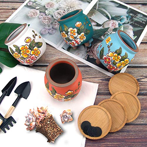 Summer Impressions 3 Inch Hand Painted Succulent Cactus Plant Pot Clay Flower Pot Planter Container Floral Design With Drainage Hole Saucers Pack Of 4 (Pear Blossom) #TOP4