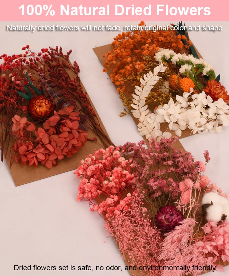 Flores Secas Naturales para manualidades, set 2 bolsas miniatura 6