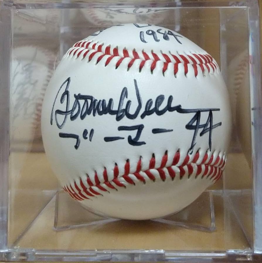 元阪急ブレーブス　ブーマー・ウエルズ　直筆サイン色紙 スポーツ＆アウトドア スポーツ 元阪急ブレーブス ブーマー