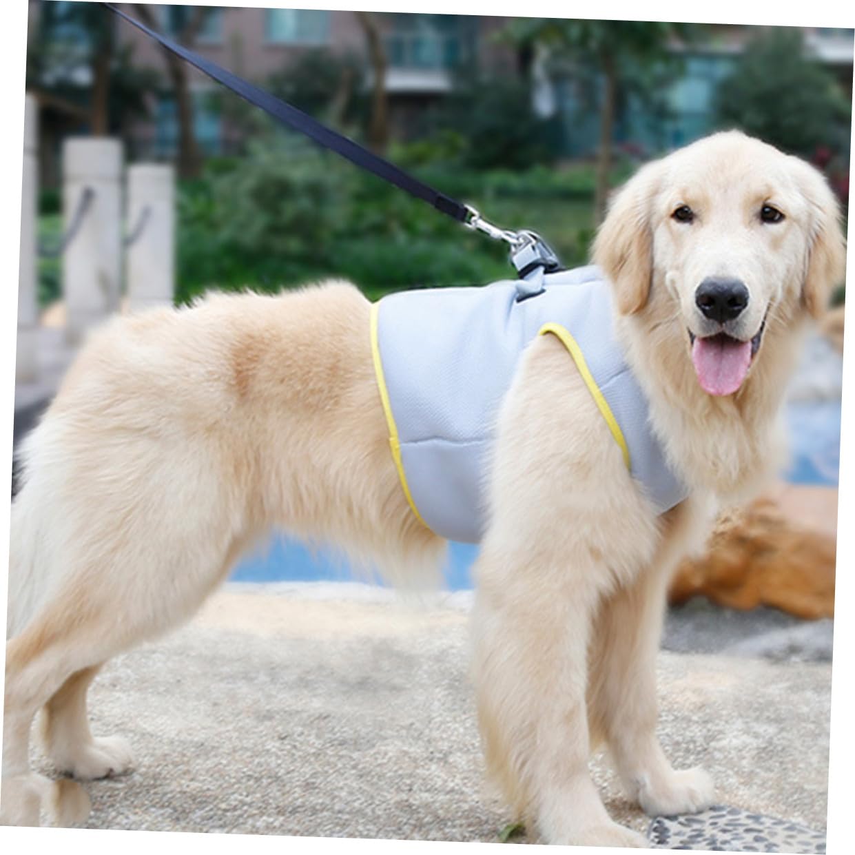 Toddmomy Gilet Refroidissant pour Chien Veste Respirante pour Animaux De Compagnie Modèle XL avec Ceinture Ajustable Et Conception Rafraîchissante