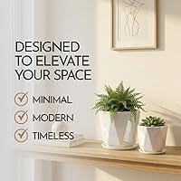 Vista 11 de Coco Andrea Macetas de cerámica para plantas de interior con drenaje y platillos, macetas blancas iridiscentes de 5 pulgadas para plantas