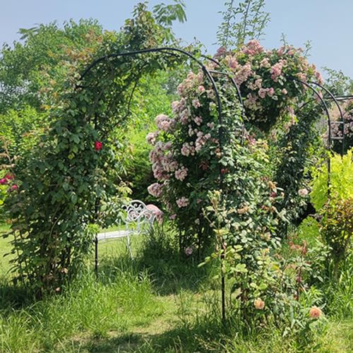 Arche de jardin en métal robuste pour corriger les allées trop larges - 6