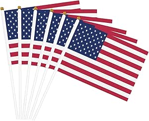 Amazon.com : Custom Mini Flags,Custom Handheld Flag with Your Own Photo ...