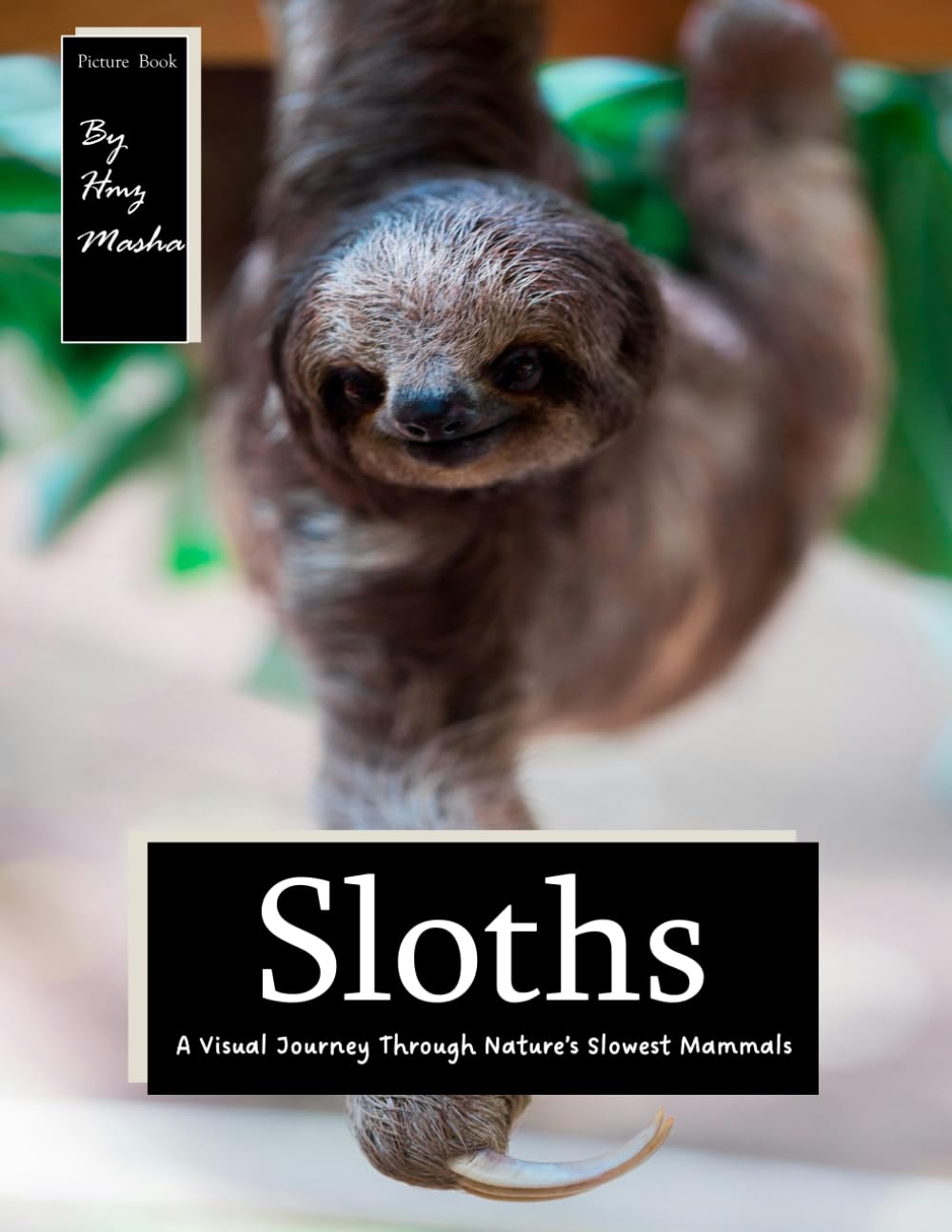 Sloths: for Alzheimer’s and Seniors with Dementia - Colorful Photos with Large Print for Elderly People or to Help them Feel Calm ( Coffee Table PictureBooks)