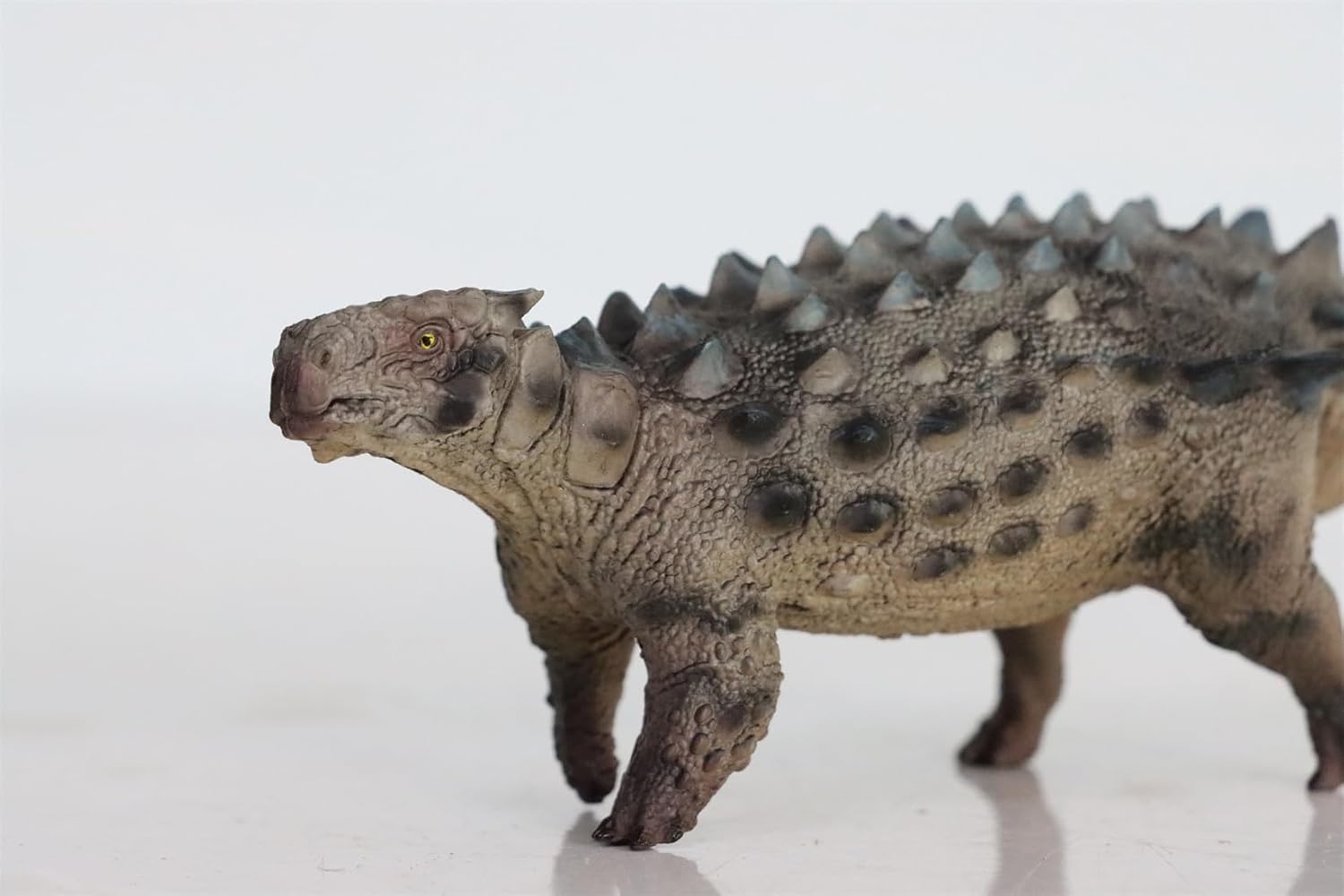 1:35 Scale Saichania Model Dinosaur Collection Home Decor Gift (Green with Box)