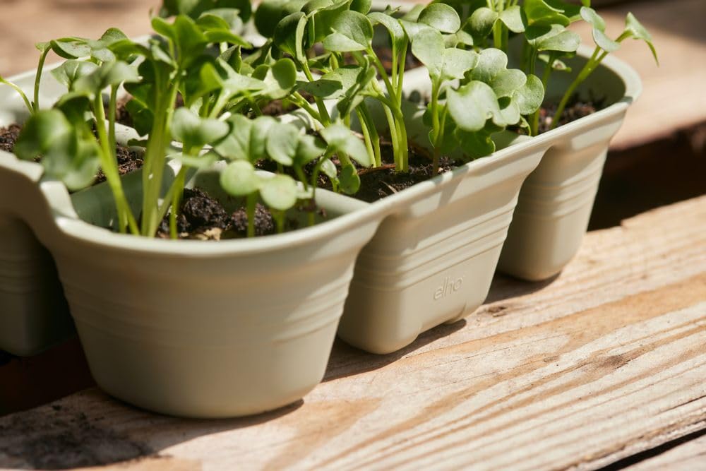 elho Gb Gyo Set S und Pflanzstift - Leaf Green | L 16.5 x B 23.5 x H 17.5 cm | 5 Artikel Enthalten