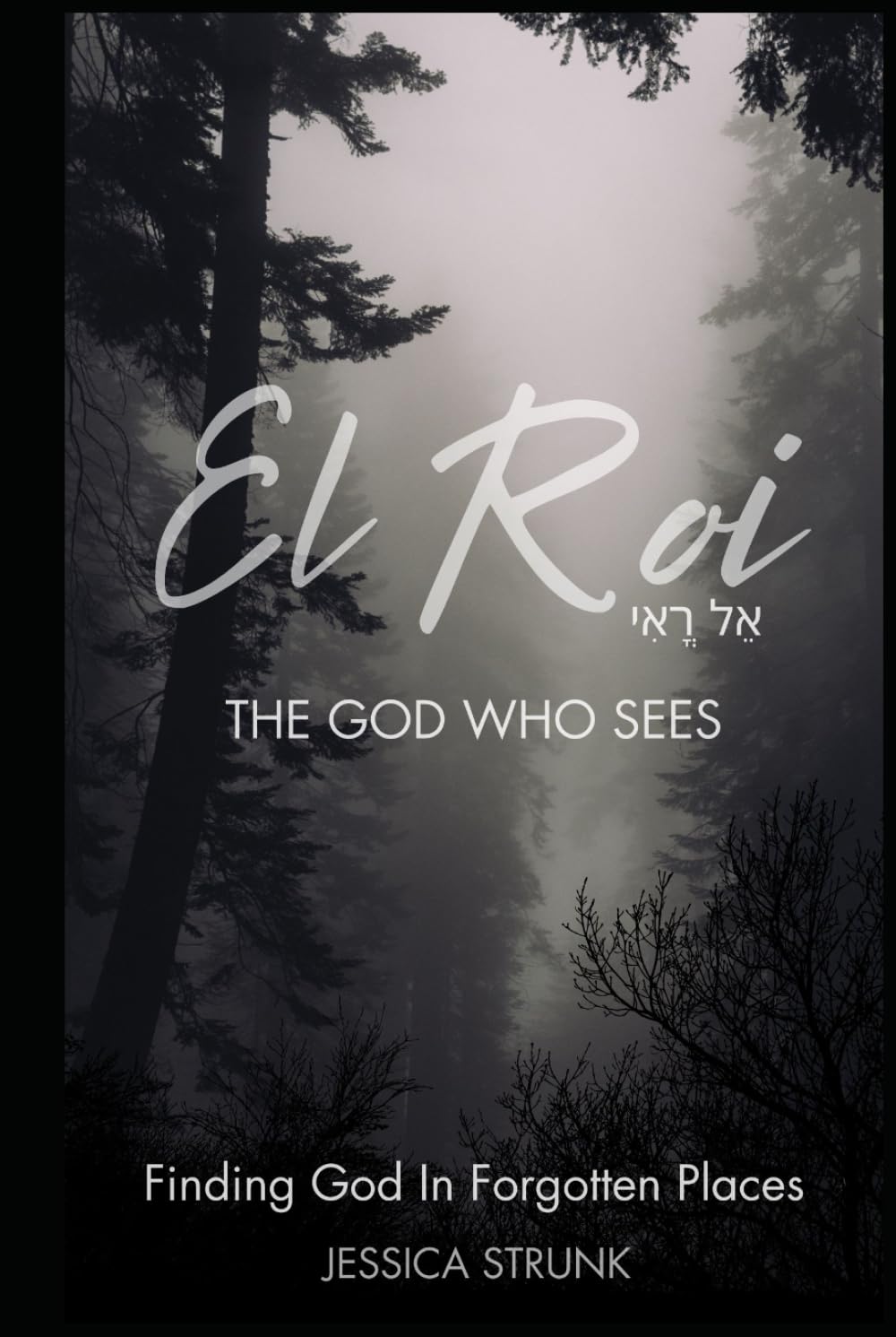 El Roi: The God Who Sees: Finding God in Forgotten Places