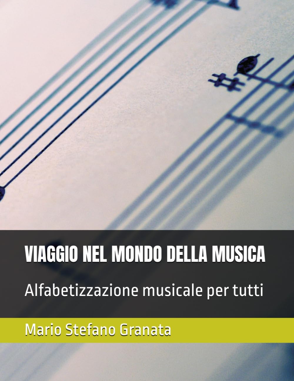 VIAGGIO NEL MONDO DELLA MUSICA: Alfabetizzazione musicale per tutti