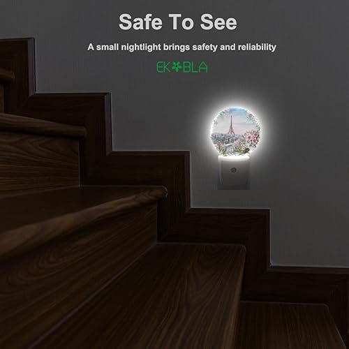 Miniatura 6 de EKOBLA Acuarela Torre Eiffel Luz nocturna Flores rosas en el balcón Francia París Lámpara de noche Punto de referencia Auto Sensor Plug-in LED luz