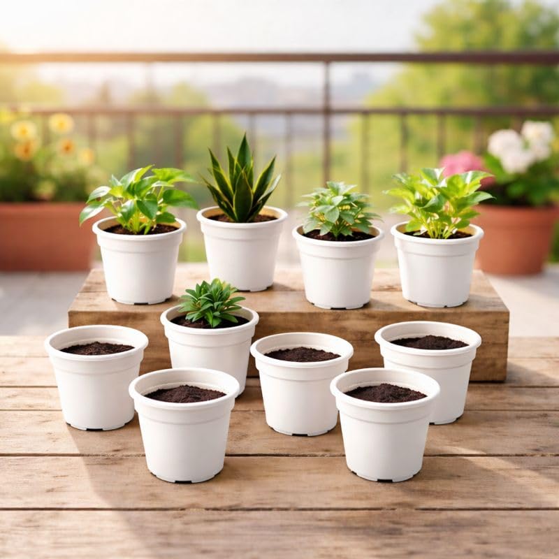 Image of Indian Gardens - 4 inch Indoor (Pack of 10) Plastic Small Colour pots | Plastic Plant Pot for Terrace Garden (White)