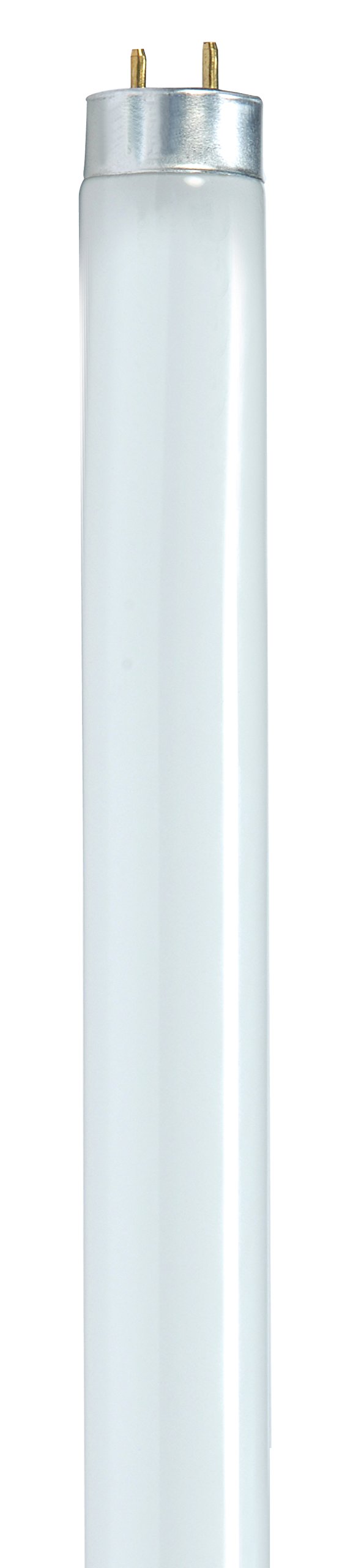 Satco S8435 36-Inch 6500K 25-Watt Medium Bi Pin T8 Instant/Rapid Start Lamp, Daylight