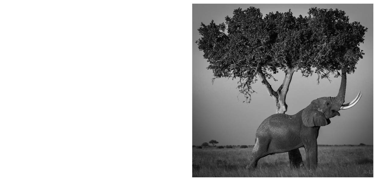 Nor dread nor hope attend: Photographs From The Plains of Africa