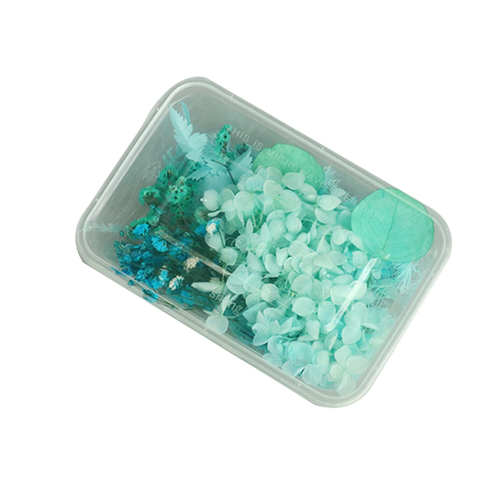 Taloit Natural Dried Flowers Set, Natural Pressed Mixed Multiple Dried Flower Leaves Petals Colorful for DIY Resin Jewelry Nail Craft Scrapbook Floral Decorations