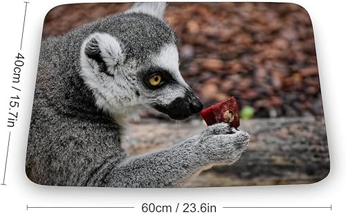 Miniatura 3 de Natural Lemur - Tapete para todas las estaciones resistente a las manchas y a la decoloración de perfil bajo para interiores y exteriores fácil de