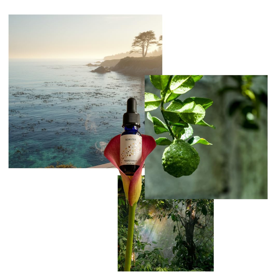 Aemster – Duftöl für Aroma-Diffuser – Kelp Forest – 15ml – natürlicher und langanhaltender Raumduft ohne Chemie – hochwertiges, ätherisches Öl aus reinen Inhaltsstoffen höchster Qualität Drogerie & Körperpflege