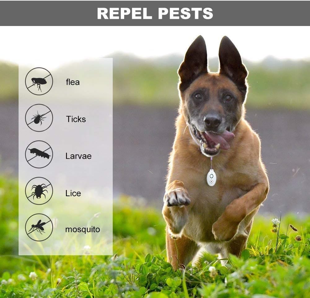 Repellente ad Ultrasuoni Portatile Anti-Zecche e Chip, Portachiavi Elettronico Antizanzare e Insetti per Animali, Campeggio e All'aperto