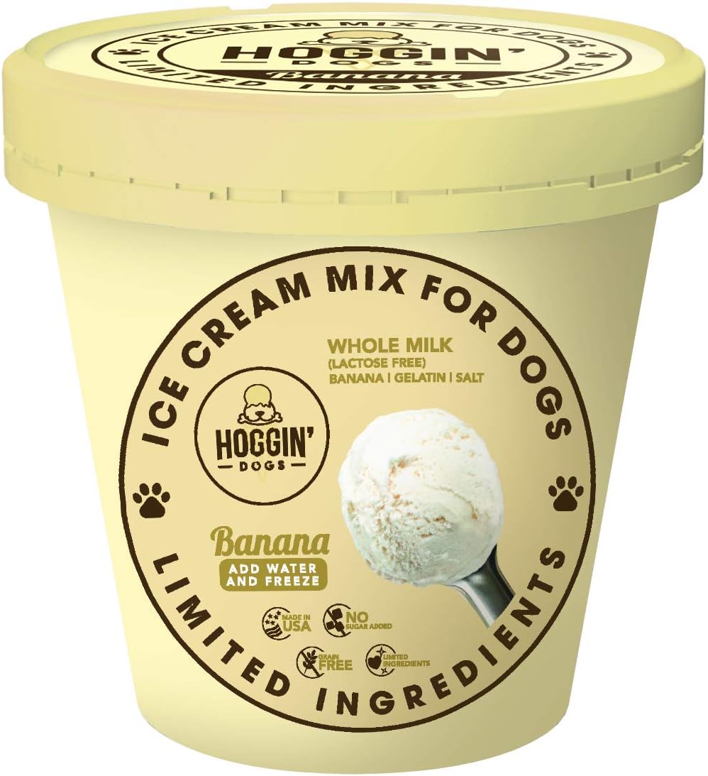 healthy dog ice cream