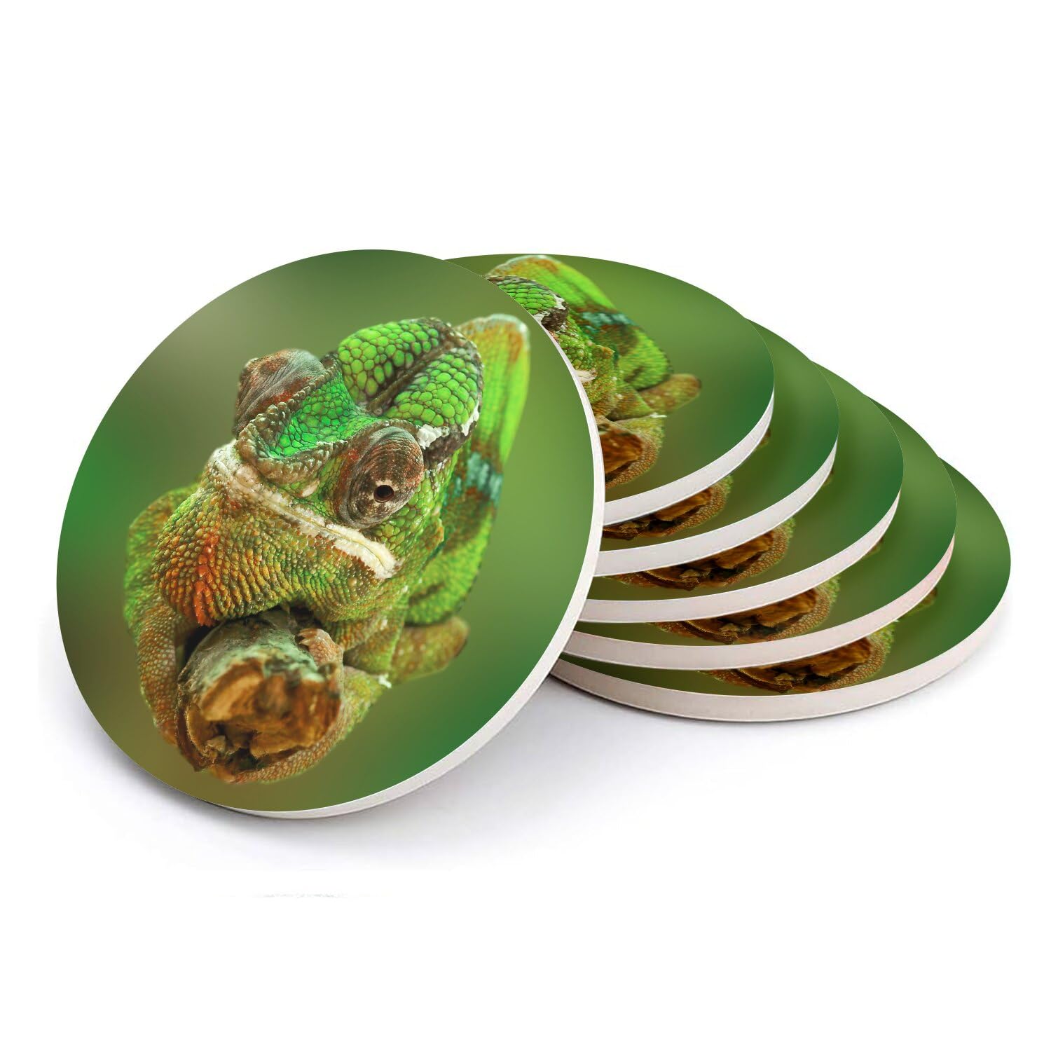 Sous verre ronds en céramique caméléon vert lot de 6 dessous de verre tropical