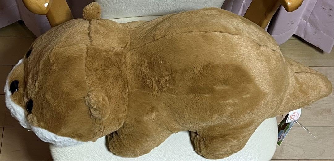 Amazon.co.jp: ゆるっとどうぶつえん かわうそ BIG ぬいぐるみ ライト