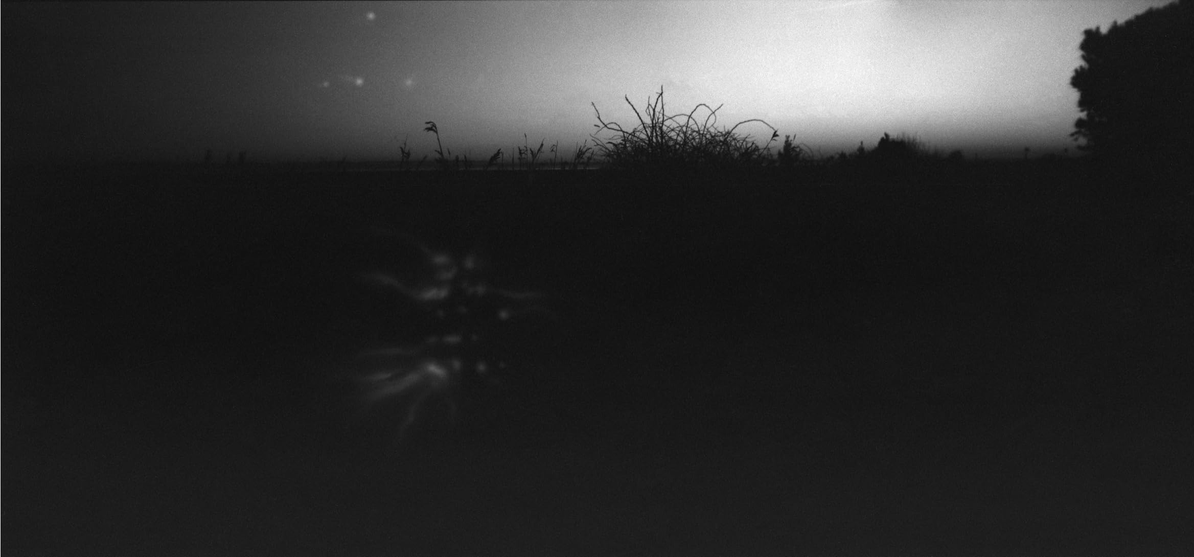 Anton & HOLGA 120N Pan 6x12 Format Moyen Panorama (Film Non Inclus)