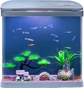 Amazon | 酸素濾過付き水槽 一体型ガラス水槽 小型家庭用自己