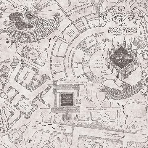 Image of RoomMates RMK12437RL Grey Harry Potter Marauder's Map Peel and Stick Wallpaper