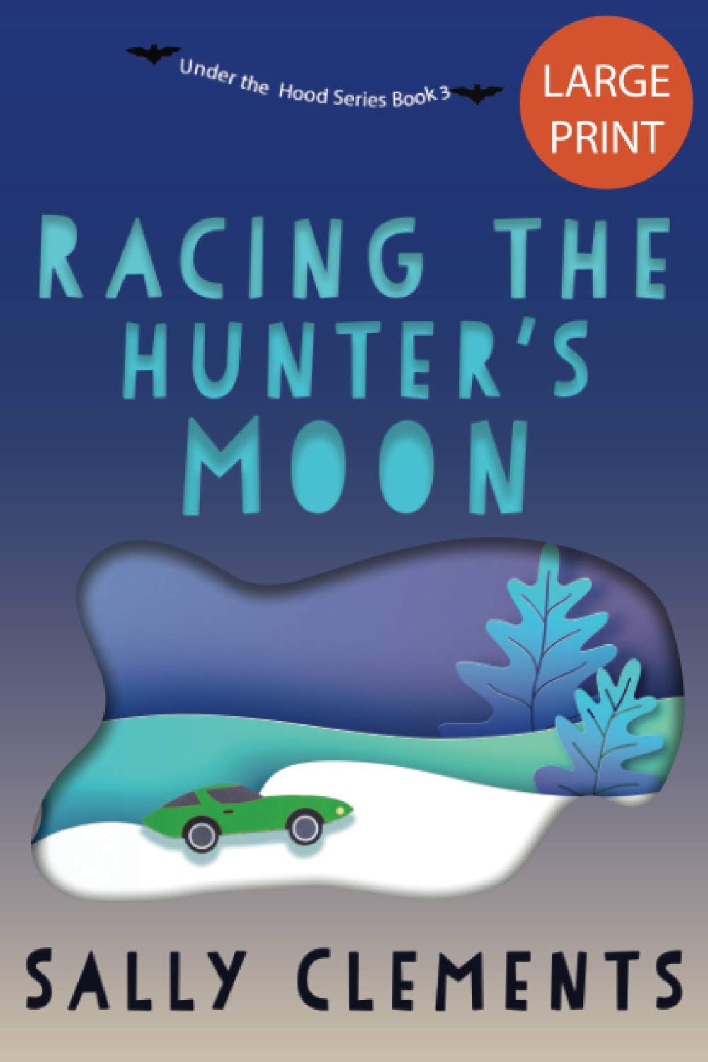 Racing the Hunter's Moon: A Small Town Love Story: 7 (Sally Clements Large Print Editions)