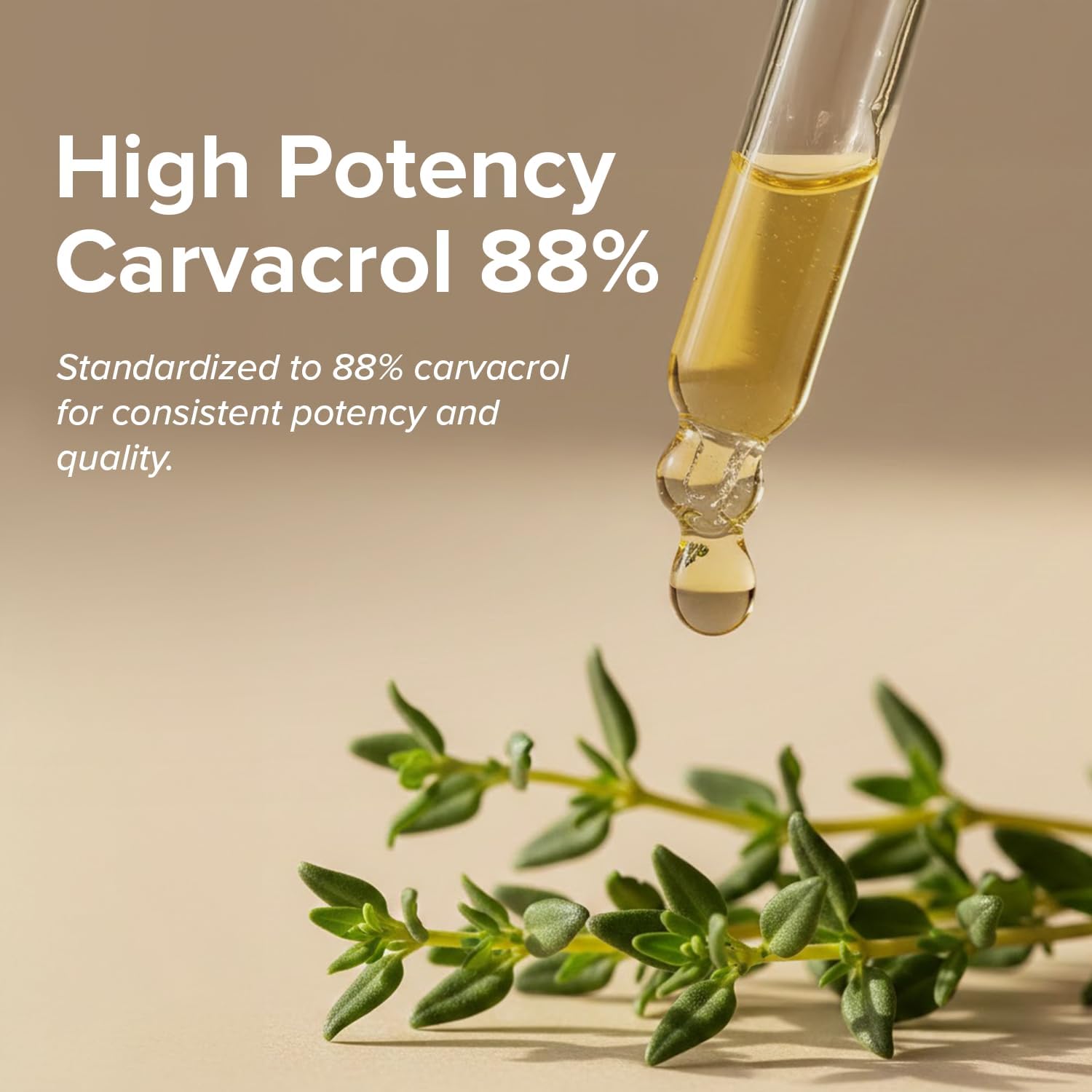 ORZAX Oregano Oil Drops with Olive Oil - 88% Carvacrol and 0.3% Thymol - Non-GMO & Sugar-Free & Gluten-Free & Vegan - Herbal Supplement for Immune Support and Digestive Health - 30 ml - 200 Day Supply