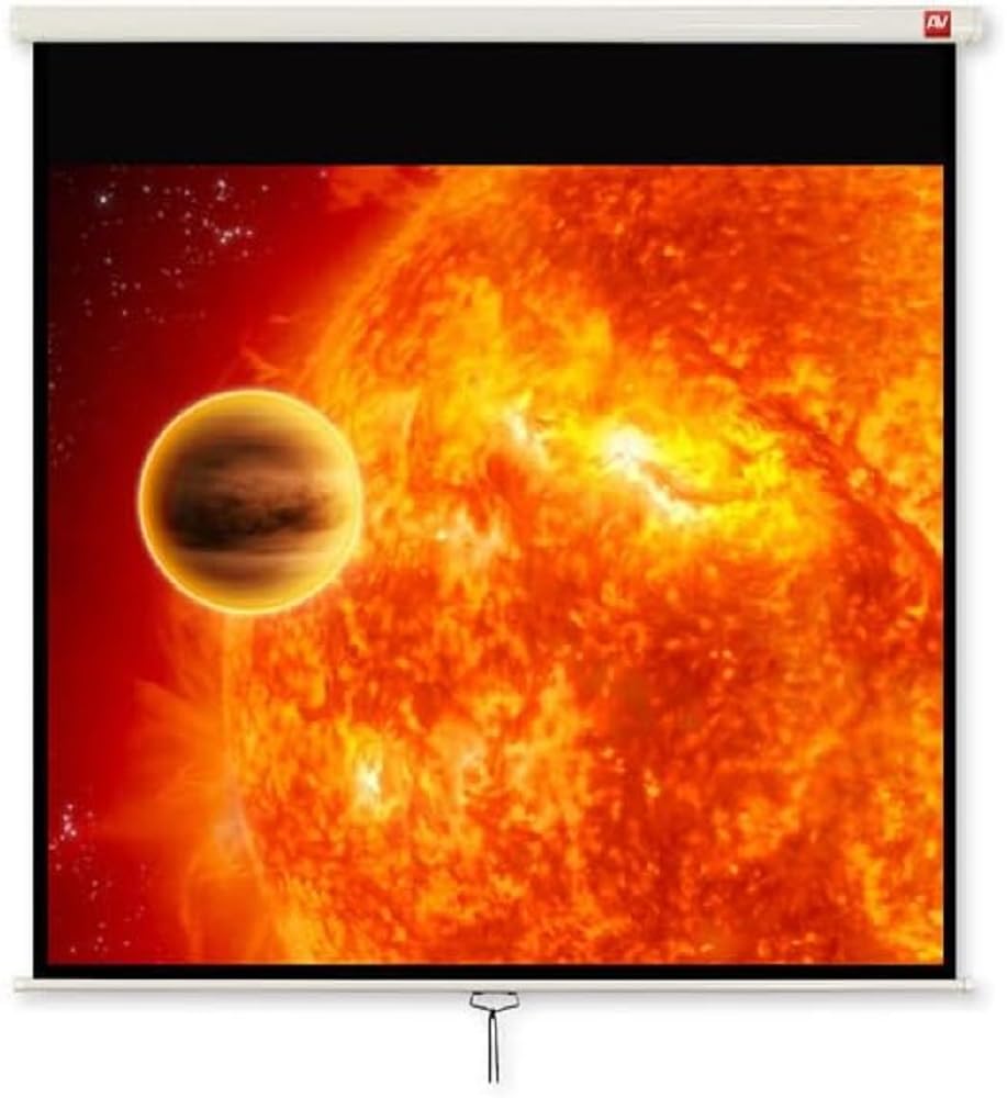 AVTEKInternational Video 280 écran de projection 4:3