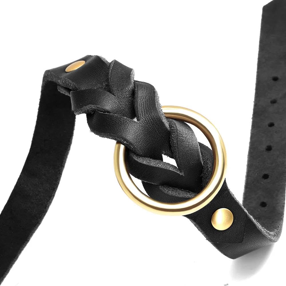 Set Collare E Guinzaglio Per Cani In Pelle Resistente Set Collare E Guinzaglio Per Cani Intrecciati Set Collare E Guinzaglio Per Cani In Pelle PU Set Collare E Guinzaglio Per Animali Domesti