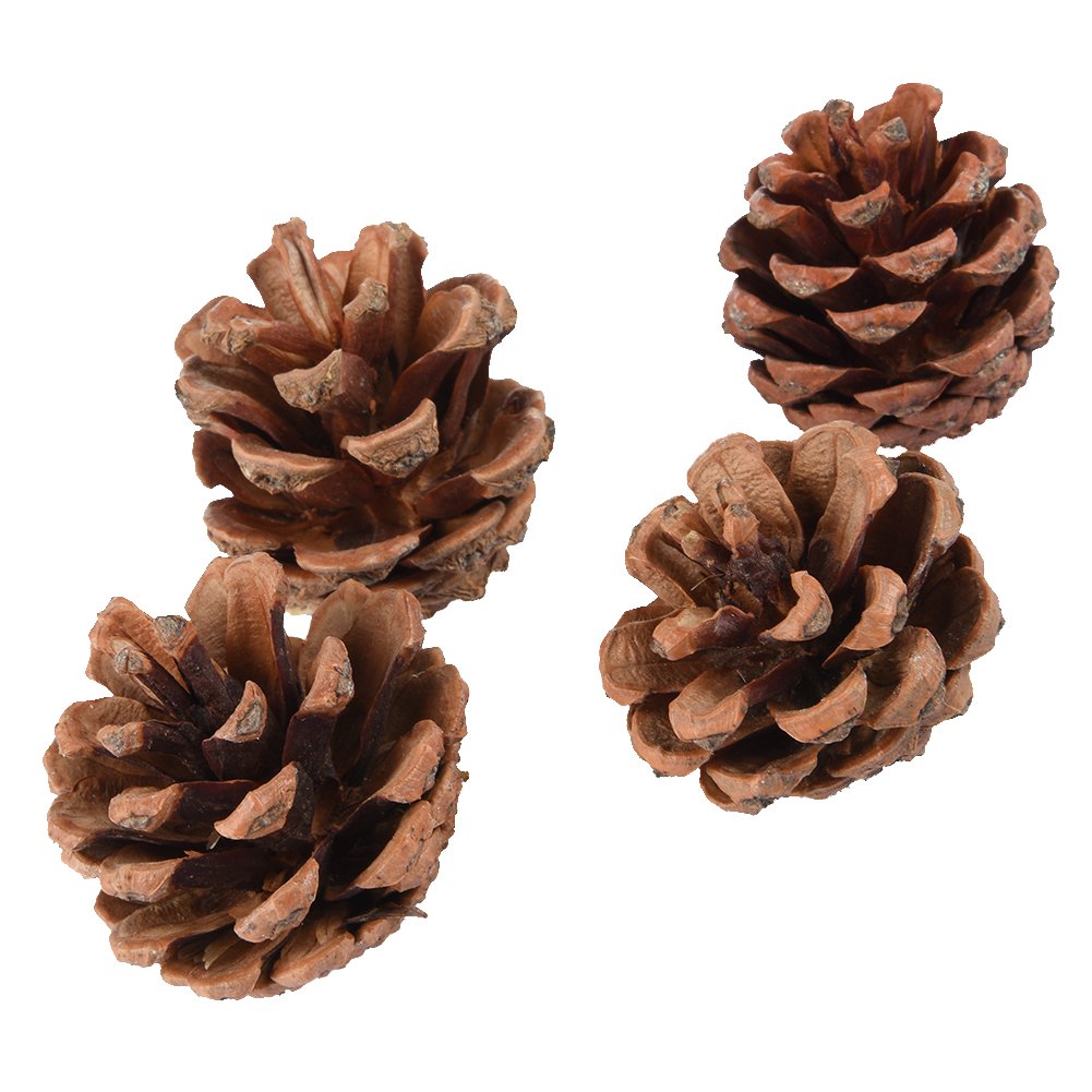 Foerteng Natural Wooden Toy Small Animal Toy Hamster Pine Cone for Decoration, Small Animal Playground Chew Toy for Mouse and Dwarf Hamster Mice, 4 Pieces