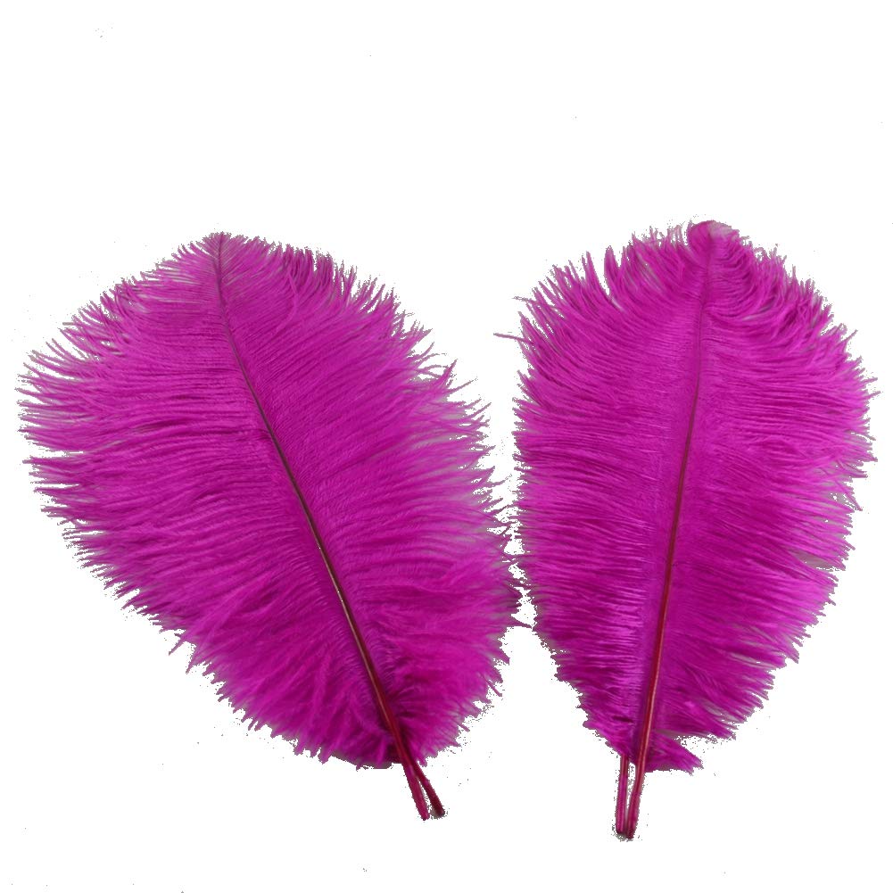 Sowder Fuchsia 5Pcs Ostrich Feathers 16-18Inch(40-45Cm) For Home Wedding Decoration(Fuchsia)