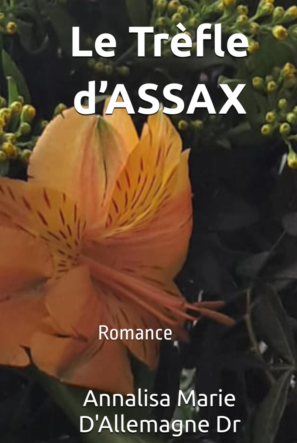 Le Trèfle d’ASSAX: Romance