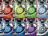 Kuryakyn 5022 Super Lizard Starter Kit