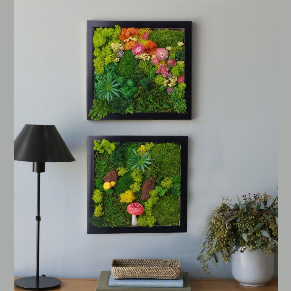 ACADOIT Moss ArtsFrame Crafts for Adults, 11" Home Office Decor Living Wall Hanging Decor