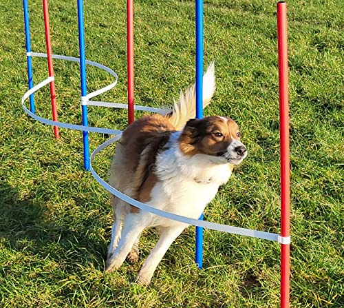 Wuzzmann Agility - Slalom - AUSBILDUNGSSET MIT 4 SLALOMBÖGEN/TRAININGSBÖGEN + 6 SLALOMSTANGEN ROT/BLAU