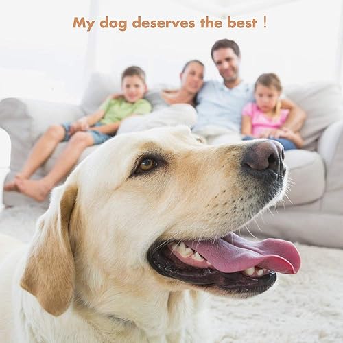 Miniatura 7 de GLADOG Capullos de algodón profesionales grandes de 6 pulgadas para perros, especialmente diseñados con mango de madera, grandes medios seguros