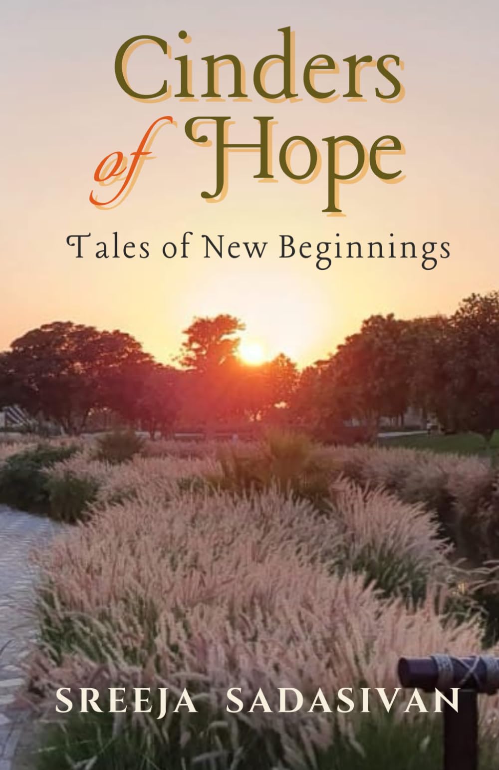Cinders of Hope: Tales of New Beginnings
