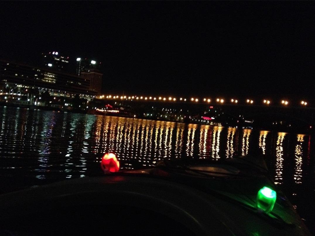 Botepon Battery Operated Kayak Navigation Lights, Marine Led Boat Lights, Boat Bow Lights and