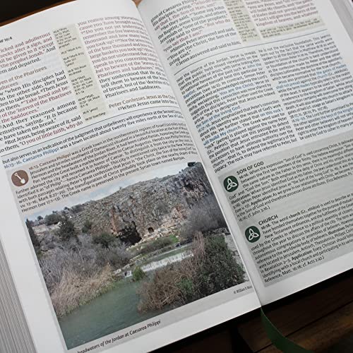 NKJV, Evangelical Study Bible, Bonded Leather, Black, Red Letter, Thumb Indexed, Comfort Print: Chri