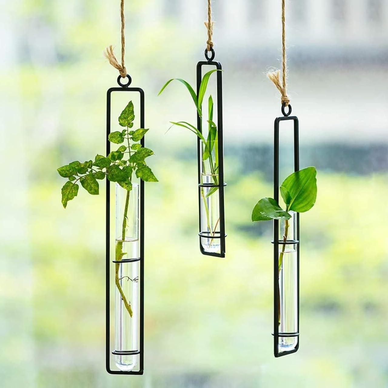 ecofynd Pack of 3 Metal Wall Hanging Test Tube Planter, Air Planter Flower Bud Vase Holder with 3 Test Tube for Indoor & Outdoor, Home Decor Hydroponic Plant Stand for Living Room, Office (TTP011) (B0D217N9B1) Amazon Price History, Amazon Price Tracker