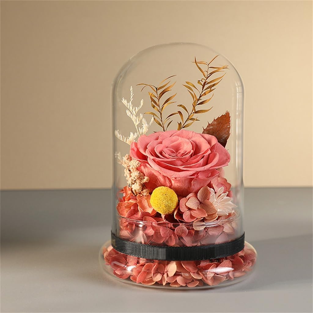 Dry Flower Bundle Eternals Glass Cover Gift Box Wedding Birthday for Girlfriend and Wife