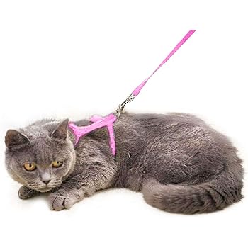 walking toy cat with lead