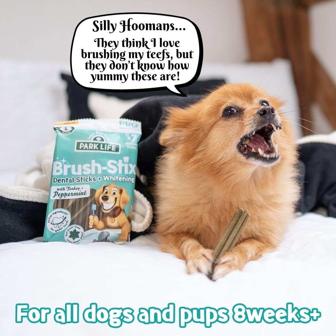 Park Life – Brush-Stix Zahnpflege-Kauartikel für Hunde mit Truthahn und Pfefferminze, 14 x 180 g, 7 mittelgroße Sticks pro Packung