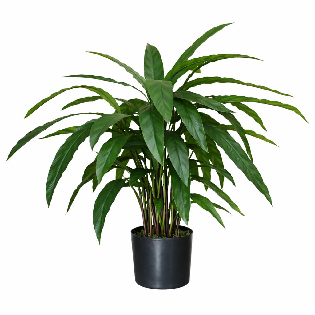 Leaf Design UK Realistic Large Artificial Foliage Plant with Pot, Calathea, 60cm