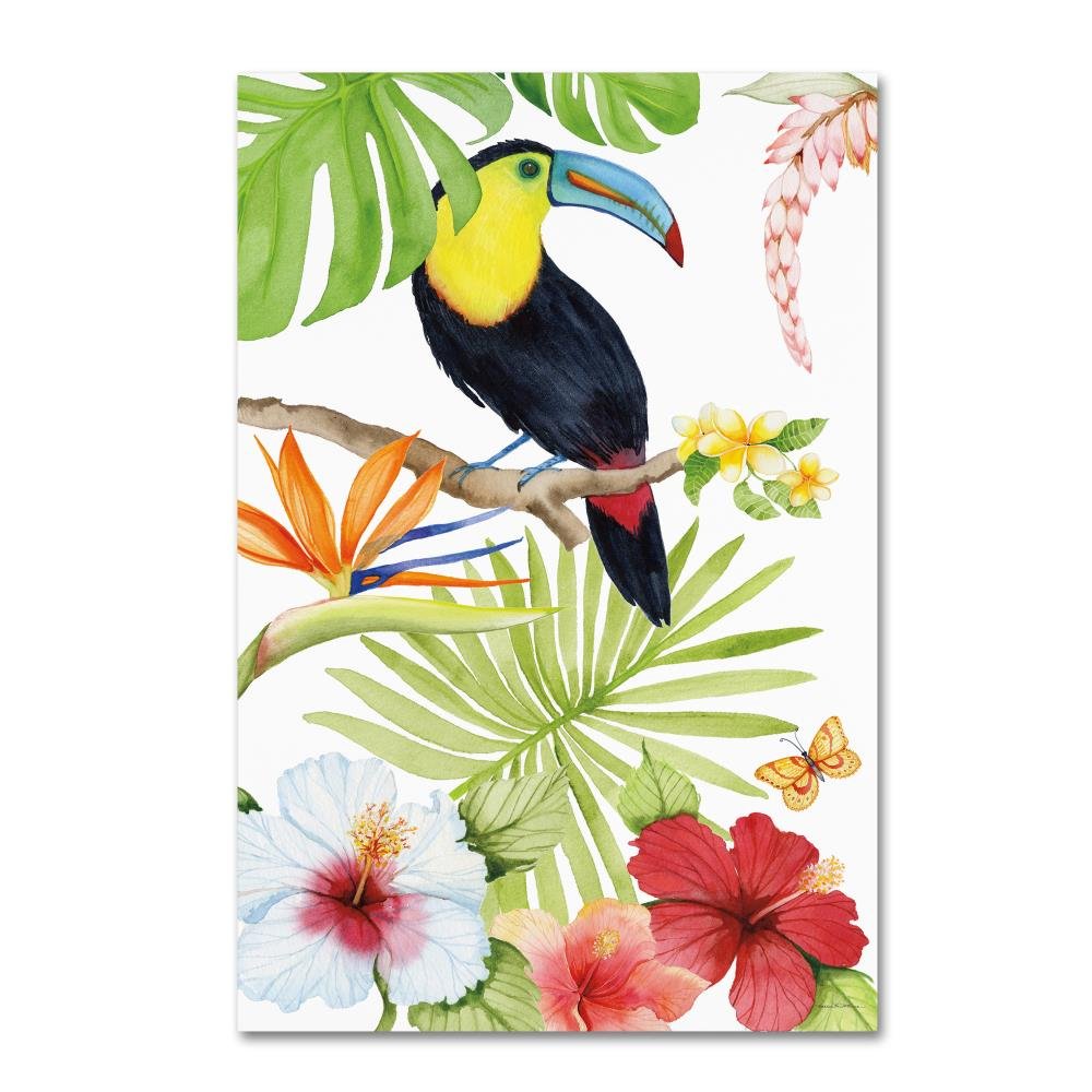 Treasures of the Tropics I by Kathleen Parr McKenna, 30x47-Inch Canvas Wall Art