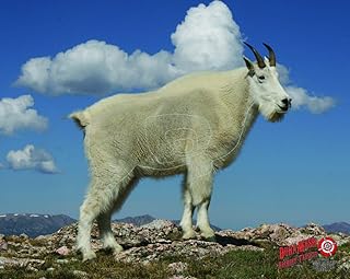 Duramesh Archery Target Mountain Goat 25 in. x 32 in.