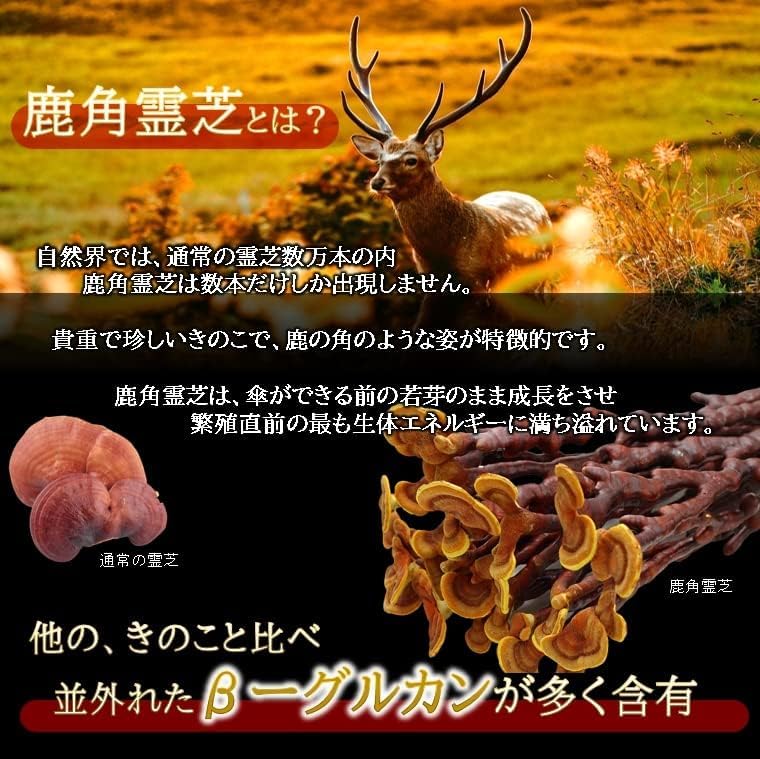Amazon | Ribeto (リベト) 福寿仙 【180粒】鹿角霊芝エキス配合