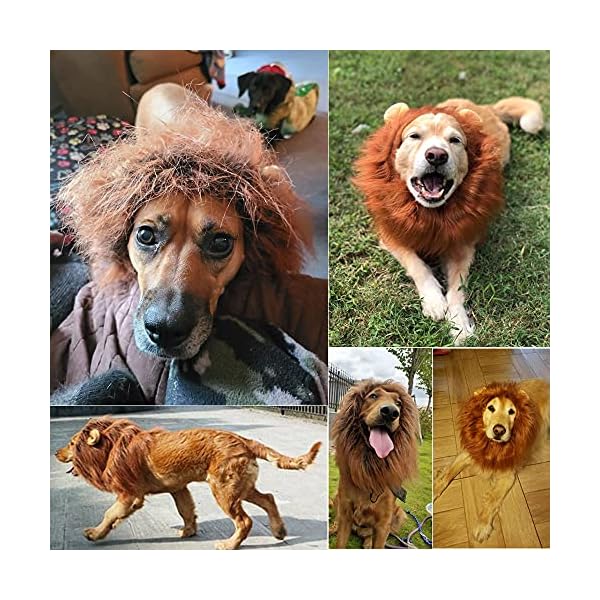Dog lion mane - halloween realistic & funny lion mane for dogs - complementary lion mane for dog costumes - lion wig for medium to large sized dogs lion mane wig for dogs - image 5