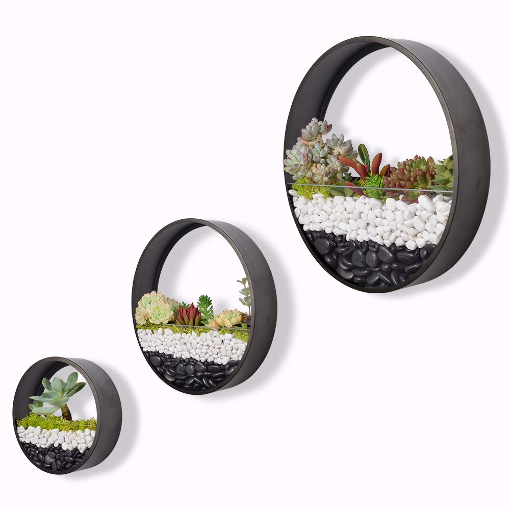 Ecosides Round Indoor Wall Succulent Hanging Planter, Hanging Pot, Metal Decorative Freestanding Mount Holder with Glass for Air Plants, Faux Flower, Set of 3 (Bronze)